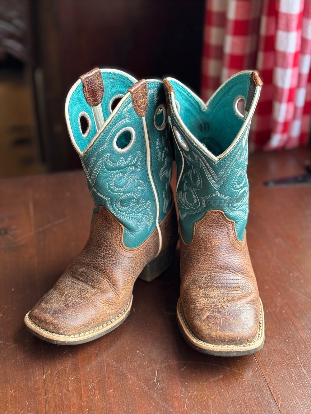 Ariat Cowboy / Cowgirl / Western Boots: Gently used, unisex, size 10